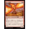 画像1: 怒れる炎術士/Enraged Flamecaster (1)