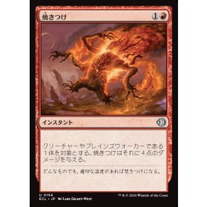 画像: 焼きつけ/Sear