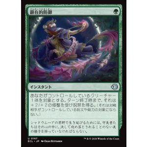 画像: 顕在的防御/Blossoming Defense