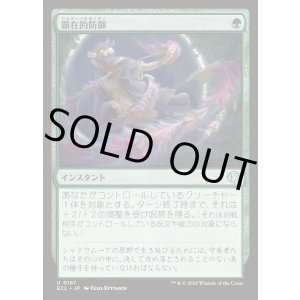 画像: 顕在的防御/Blossoming Defense