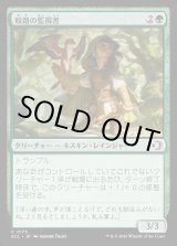 画像: 岐路の監視者/Crossroads Watcher