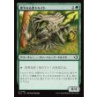 画像1: 偉大なる森ドルイド/Great Forest Druid (1)