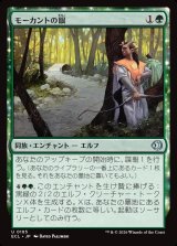 画像: モーカントの眼/Morcant's Eyes