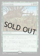 画像: 若木の生育場/Sapling Nursery