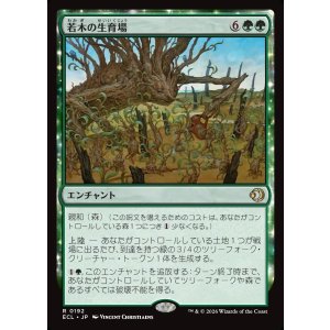 画像: 若木の生育場/Sapling Nursery