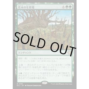 画像: 若木の生育場/Sapling Nursery