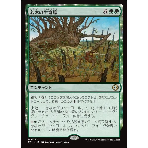 画像1: 若木の生育場/Sapling Nursery (1)