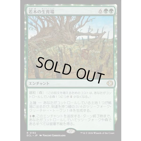 画像1: 若木の生育場/Sapling Nursery (1)