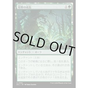 画像: 煌野の成長/Shimmerwilds Growth