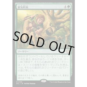 画像: 意気軒高/Spry and Mighty