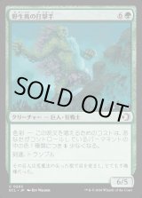 画像: 野生蔦の打撃手/Wildvine Pummeler