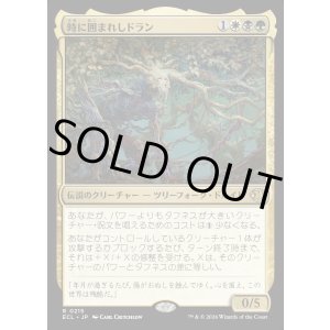 画像: 時に囲まれしドラン/Doran, Besieged by Time