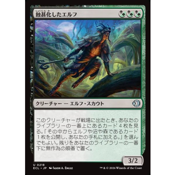 画像1: 蝕甚化したエルフ/Eclipsed Elf (1)