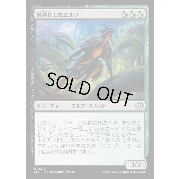 画像1: 蝕甚化したエルフ/Eclipsed Elf (1)