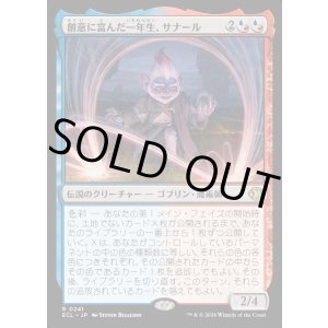 画像: 創意に富んだ一年生、サナール/Sanar, Innovative First-Year