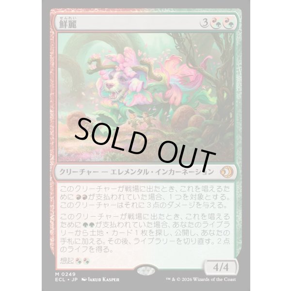 画像1: 鮮麗/Vibrance (1)