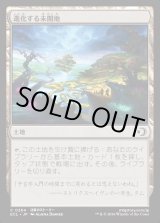 画像: 進化する未開地/Evolving Wilds