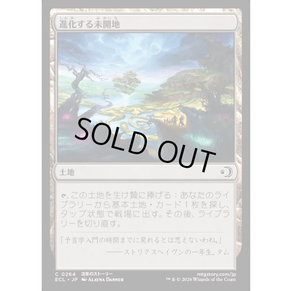 画像1: 進化する未開地/Evolving Wilds (1)