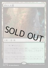 画像: 草むした墓/Overgrown Tomb