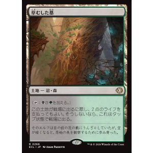 画像: 草むした墓/Overgrown Tomb