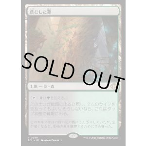 画像: 草むした墓/Overgrown Tomb