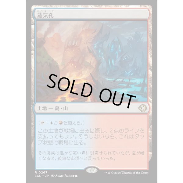 画像1: 蒸気孔/Steam Vents (1)