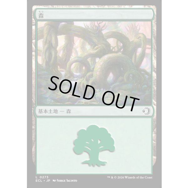 画像1: 森/Forest (1)