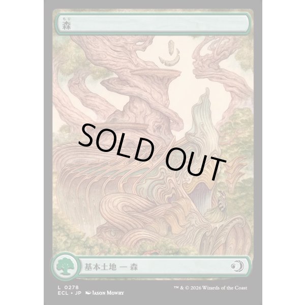 画像1: 森/Forest (1)