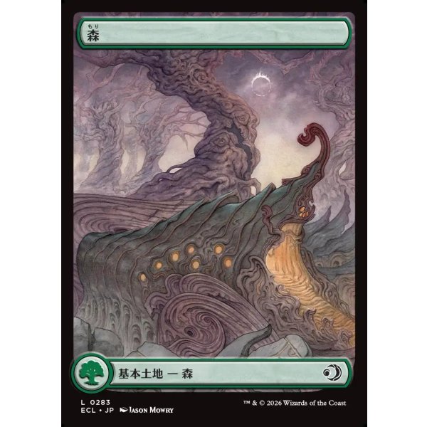 画像1: 森/Forest (1)