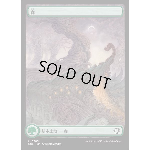 画像1: 森/Forest (1)