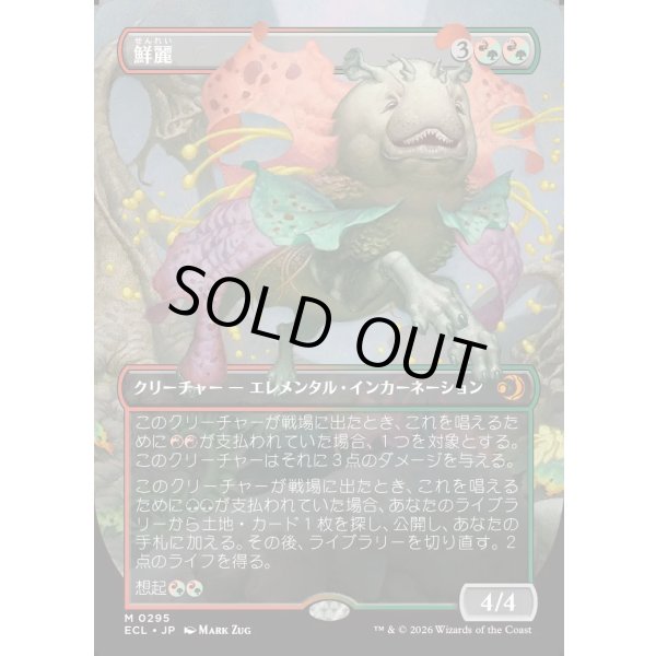 画像1: 鮮麗/Vibrance (1)