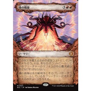 画像: 魂の焼身/Soul Immolation