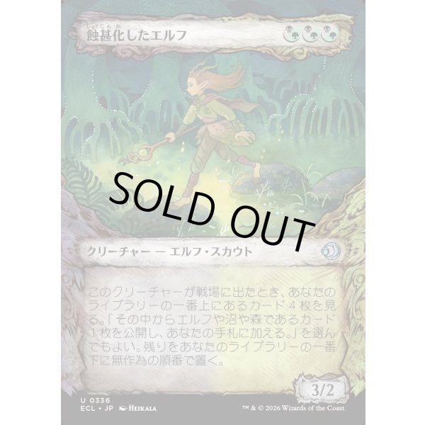 画像1: 蝕甚化したエルフ/Eclipsed Elf (1)