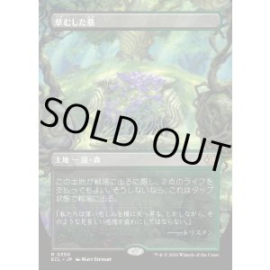 画像: 草むした墓/Overgrown Tomb