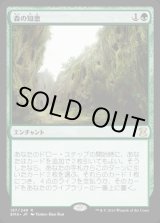 画像: 森の知恵/Sylvan Library