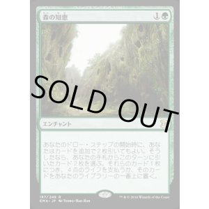 画像: 森の知恵/Sylvan Library