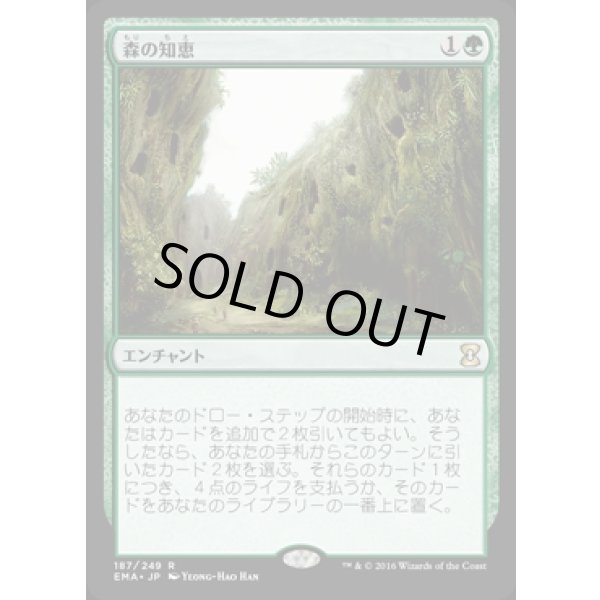 画像1: 森の知恵/Sylvan Library (1)