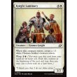 画像2: 騎士の指導者/Knight Luminary (2)