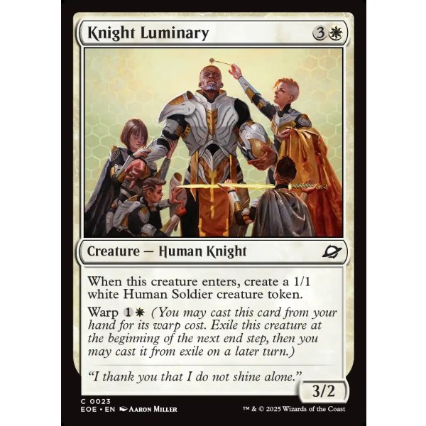 画像2: 騎士の指導者/Knight Luminary (2)