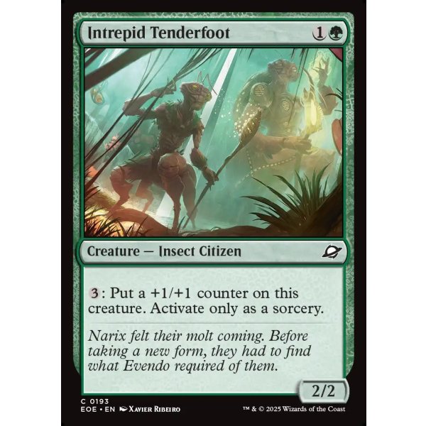 画像2: 恐れ知らずの新参虫/Intrepid Tenderfoot (2)