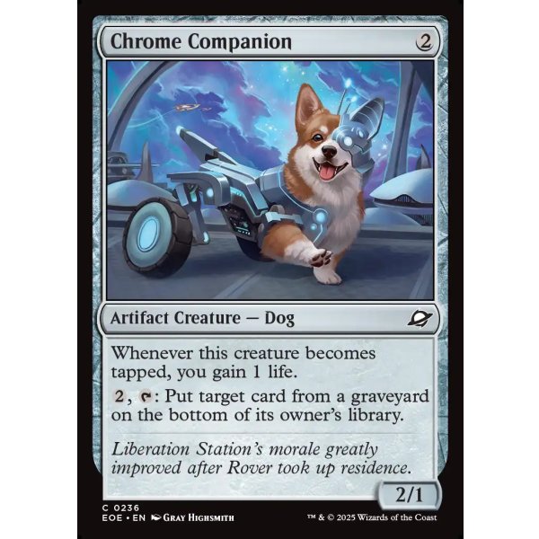 画像2: 金属の相棒/Chrome Companion (2)