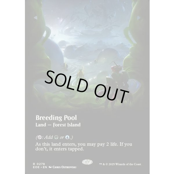 画像2: 繁殖池/Breeding Pool (2)