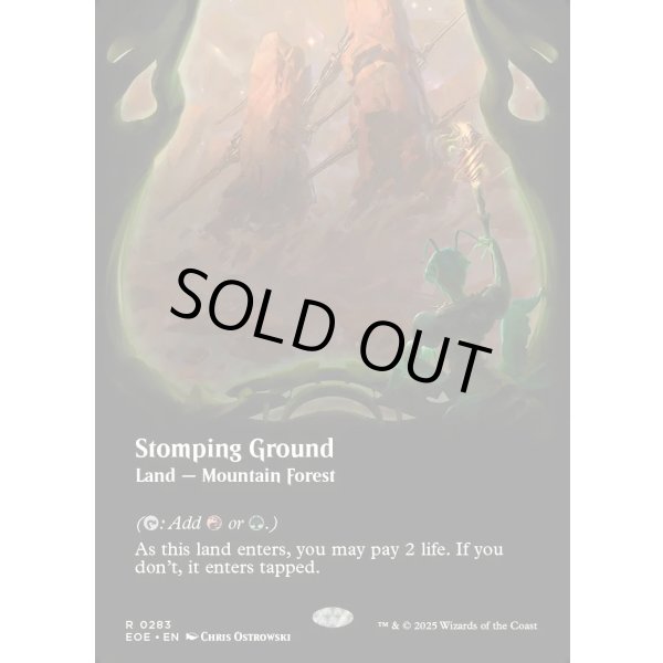 画像2: 踏み鳴らされる地/Stomping Ground (2)