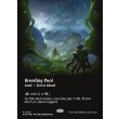 画像2: 繁殖池/Breeding Pool (2)