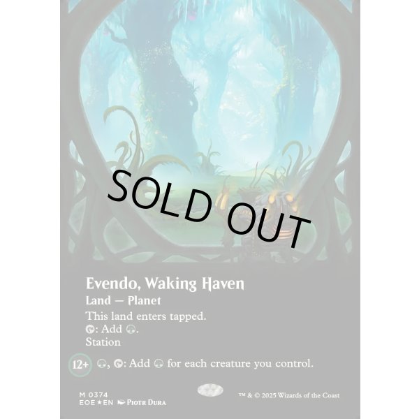 画像2: 目覚めの安息地、エヴェンド/Evendo, Waking Haven (2)