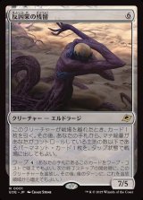 画像: 反因果の残留/Anticausal Vestige