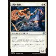 画像1: 双陽の手練れ/Dual-Sun Adepts (1)