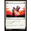画像1: 栄誉/Honor (1)