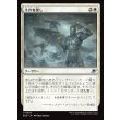 画像1: 生存者探し/Scout for Survivors (1)