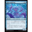 画像1: 悪意ある氷魔法学者/Sinister Cryologist (1)